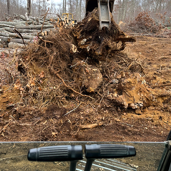 Lot Clearing