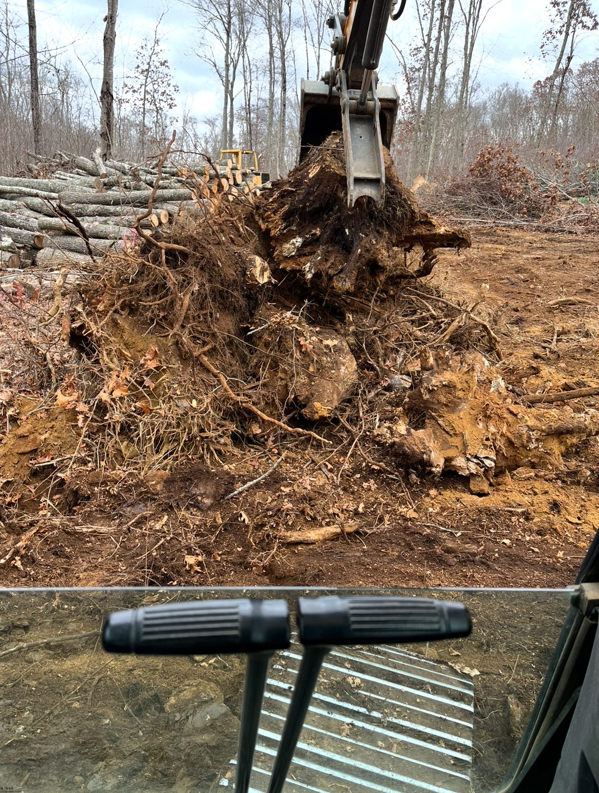 Lot Clearing